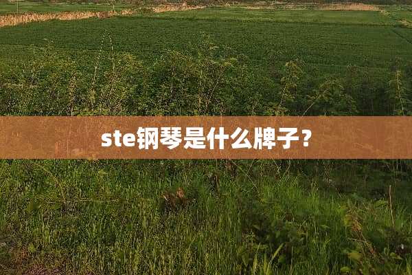 ste钢琴是什么牌子？