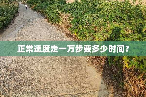正常速度走一万步要多少时间？