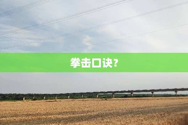 拳击口诀？