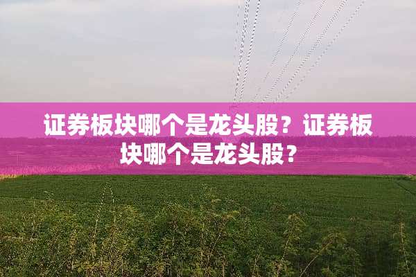 证券板块哪个是龙头股？证券板块哪个是龙头股？