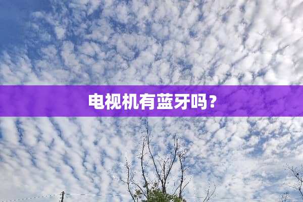电视机有蓝牙吗？