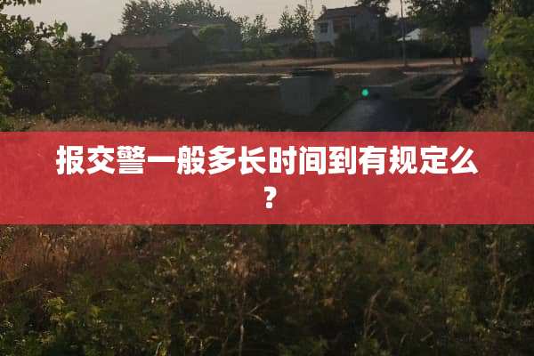报交警一般多长时间到有规定么？