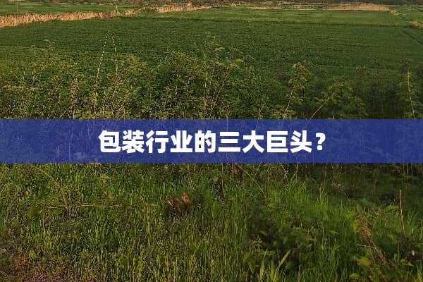 包装行业的三大巨头？