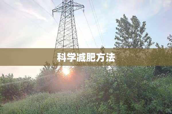 科学减肥方法