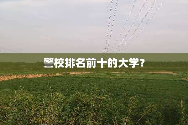 警校排名前十的大学？