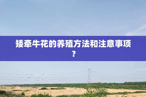 矮牵牛花的养殖方法和注意事项？