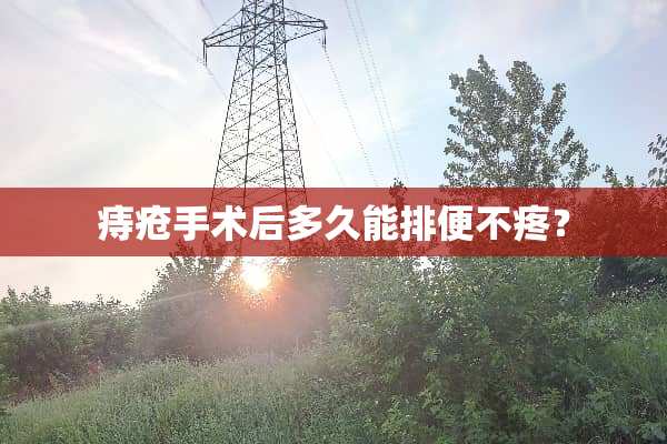 痔疮手术后多久能排便不疼？
