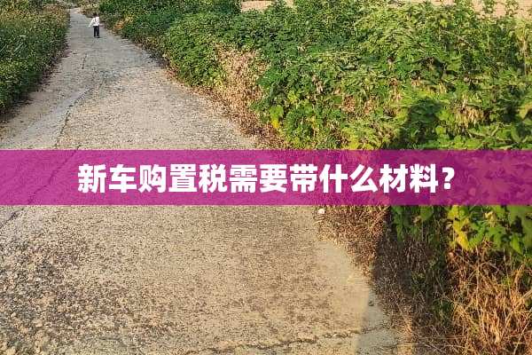新车购置税需要带什么材料？