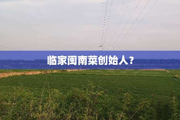 临家闽南菜创始人？