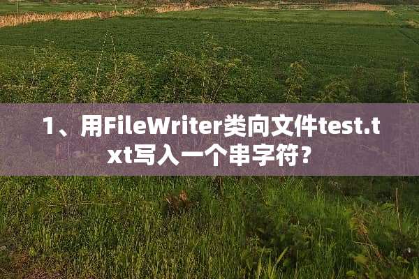 1、用FileWriter类向文件test.txt写入一个串字符？