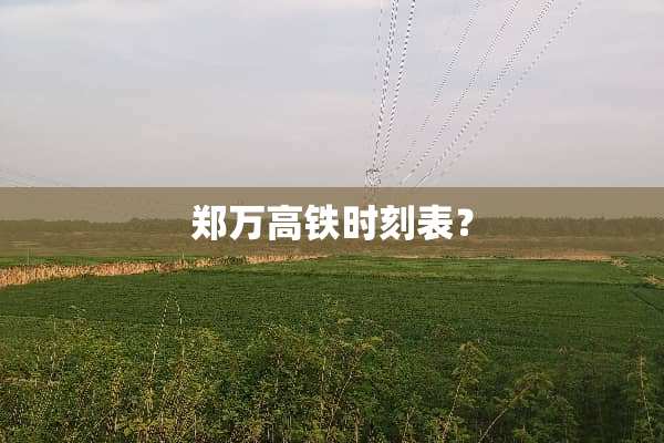 郑万高铁时刻表？