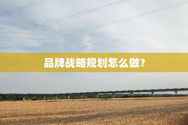 品牌战略规划怎么做？