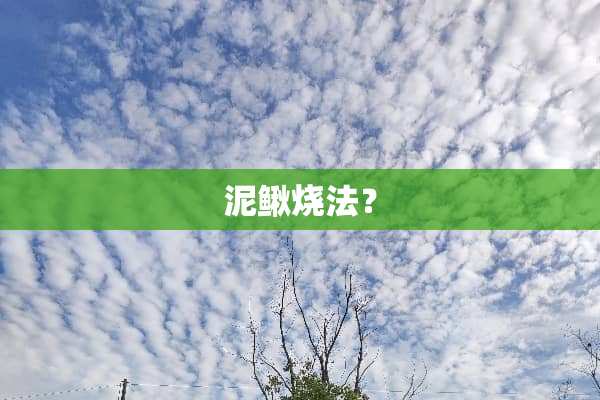 泥鳅烧法？