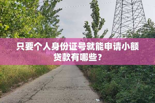 只要个人***号就能申请小额贷款有哪些？
