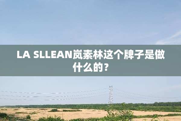 LA SLLEAN岚素林这个牌子是做什么的？
