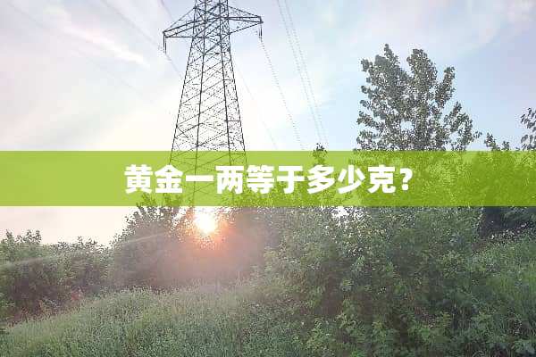 黄金一两等于多少克？