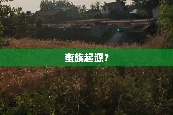蛮族起源？