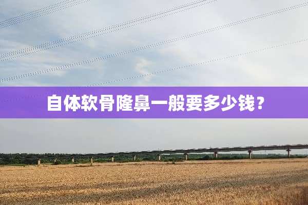 自体软骨隆鼻一般要多少钱？