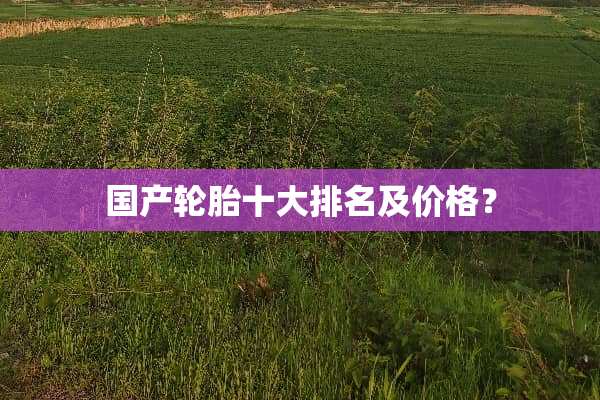 国产轮胎十大排名及价格？