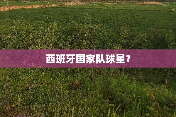 西班牙国家队球星？