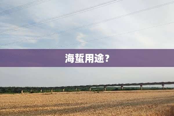 海蜇用途？