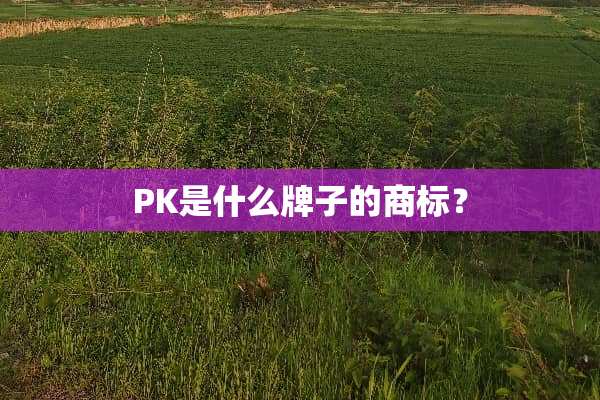 PK是什么牌子的商标？