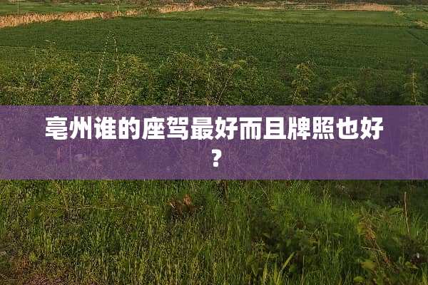 亳州谁的座驾最好而且牌照也好？