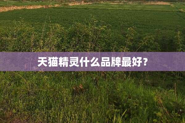 天猫精灵什么品牌最好？