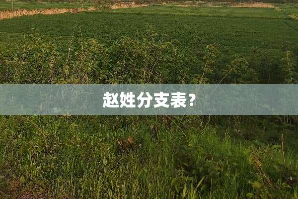 赵姓分支表？