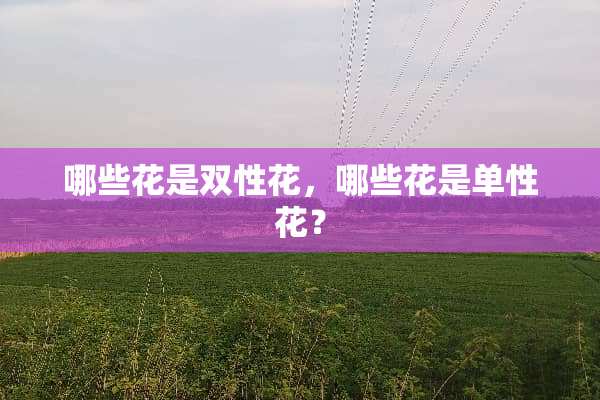 哪些花是双性花，哪些花是单性花？