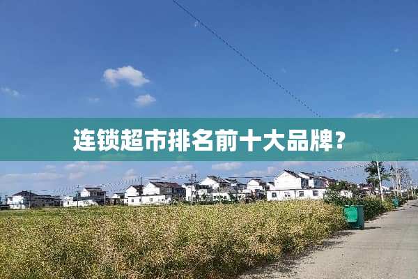 连锁超市排名前十大品牌？