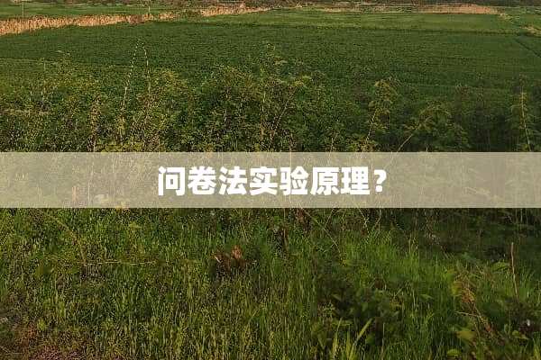 问卷法实验原理？
