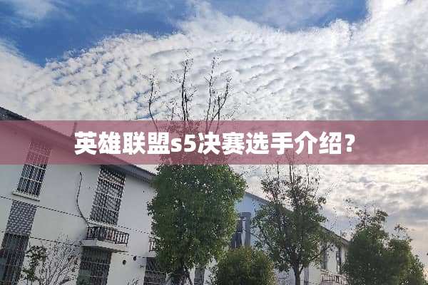 英雄联盟s5决赛选手介绍？