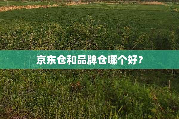 京东仓和品牌仓哪个好？