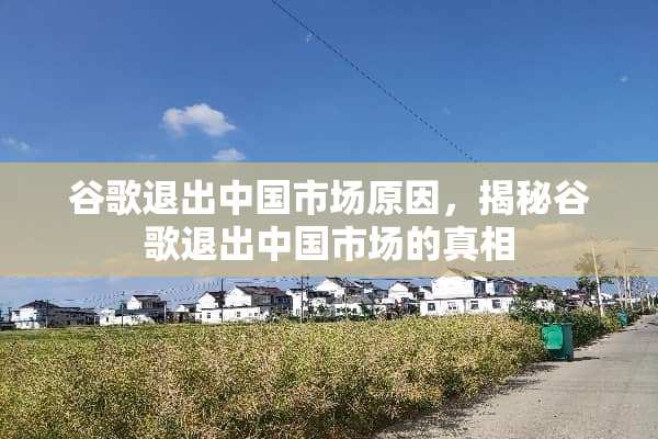 谷歌退出中国市场原因，揭秘谷歌退出中国市场的**