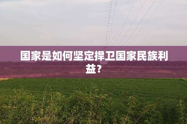 国家是如何坚定捍卫国家民族利益？