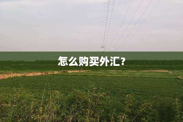 怎么购买外汇？
