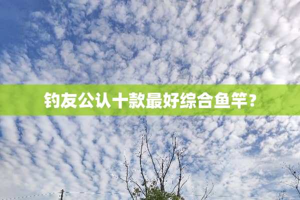 钓友公认十款最好综合鱼竿？