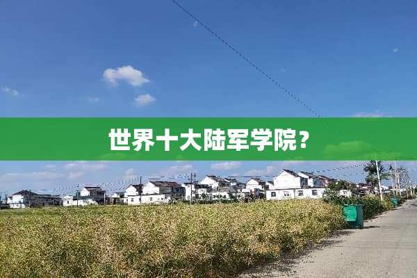 世界十**军学院？