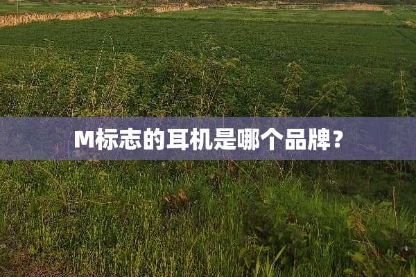 M标志的耳机是哪个品牌？