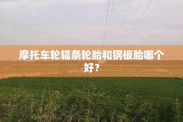 摩托车轮辐条轮胎和钢板胎哪个好？