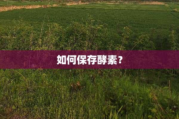 如何保存酵素？
