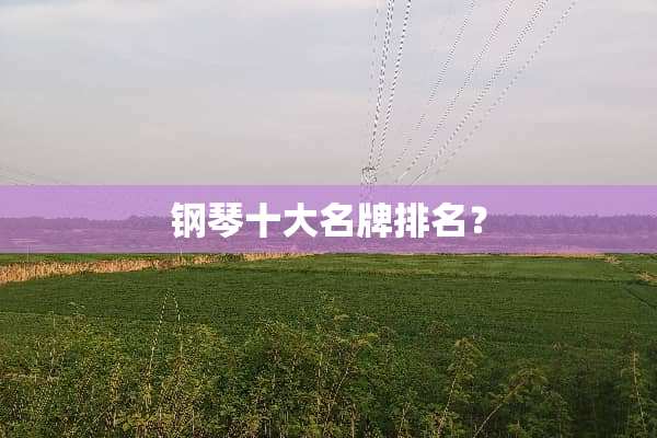 钢琴十大名牌排名？