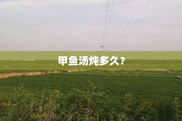 甲鱼汤炖多久？