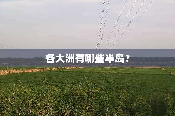 各大洲有哪些半岛？