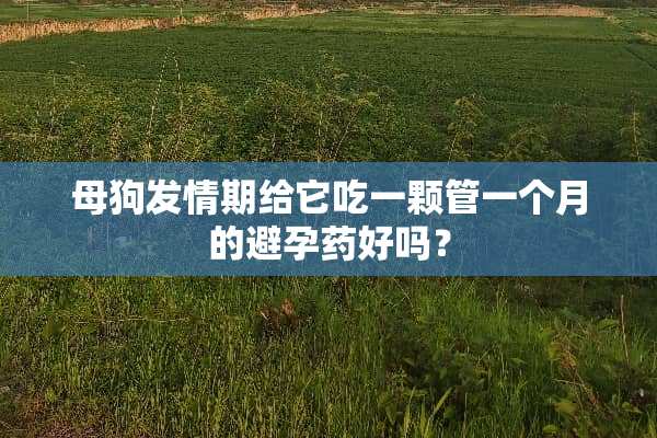 母狗**期给它吃一颗管一个月的避孕药好吗？