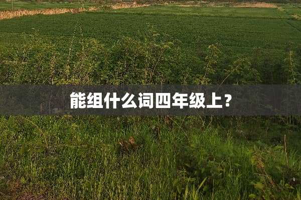 能组什么词四年级上？