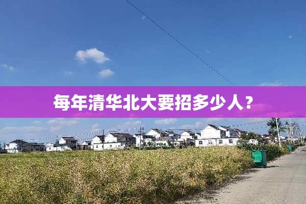 每年清华北大要招多少人？