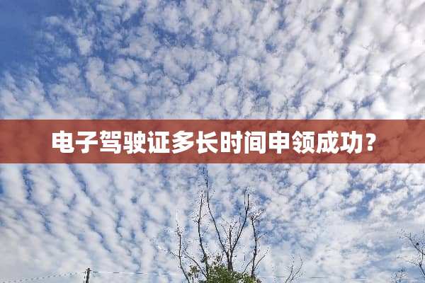 电子***多长时间申领成功？