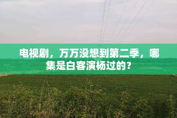 电视剧，万万没想到第二季，哪集是白客演杨过的？